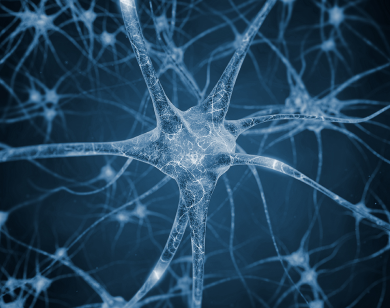 Despre noi Mobile Featured Image