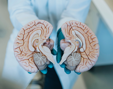 Știința din spate Mobile Featured Image